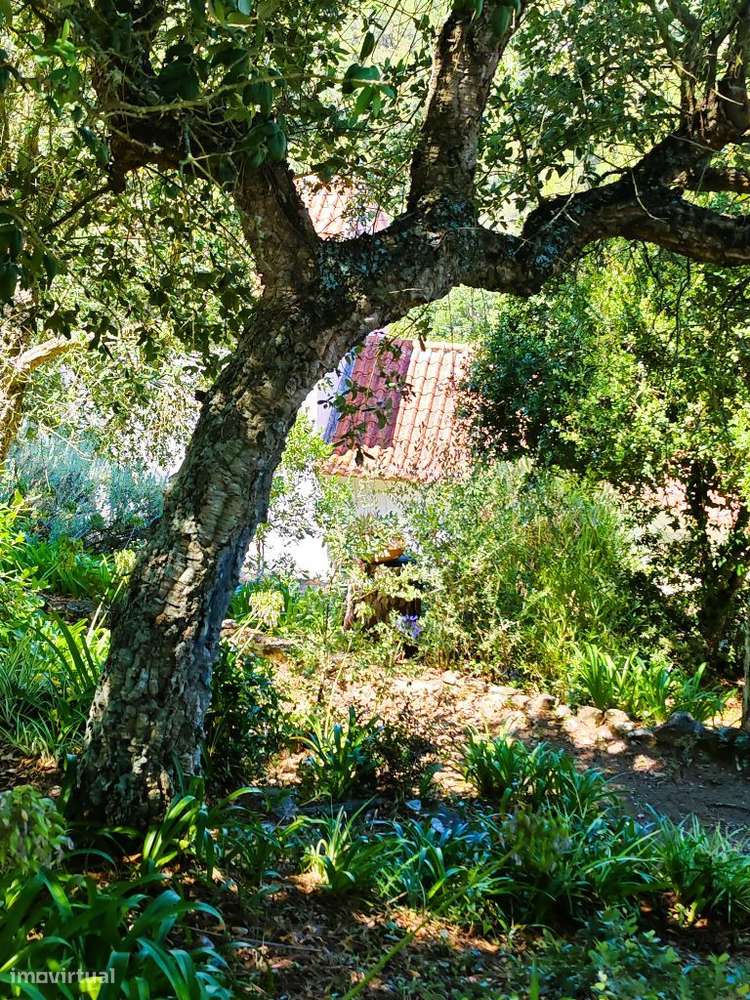 Quinta com muita privacidade, a 11 minutos do centro da Ericeira-47