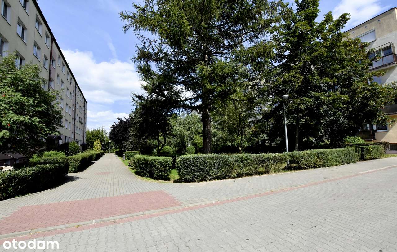 Mieszkanie na Drzymały, ładnie położone, do remontu, atrakcyjna cena!!-13