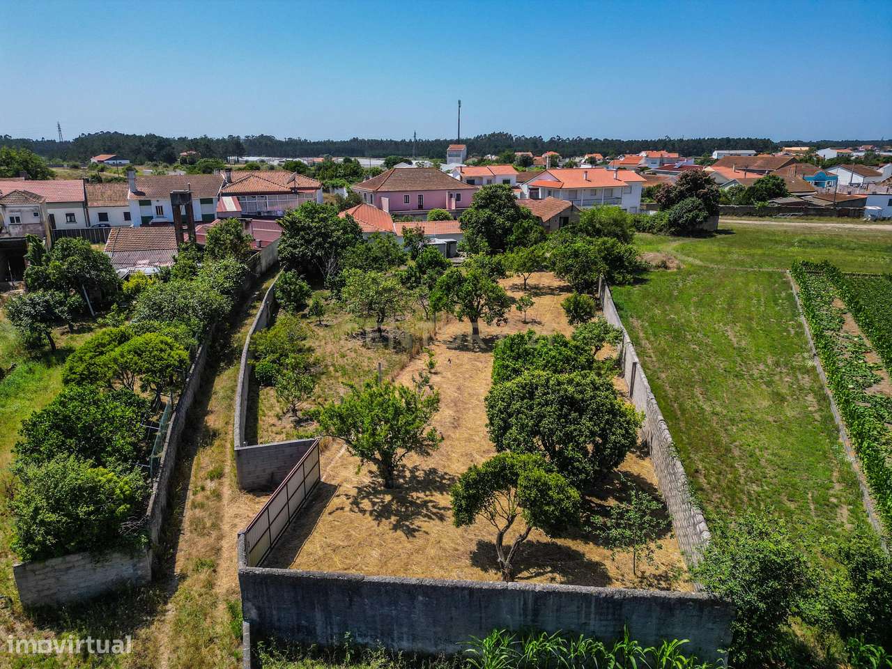 Moradia T4+1 com 2 Apartamentos + Terreno - Grande imagem: 4/60