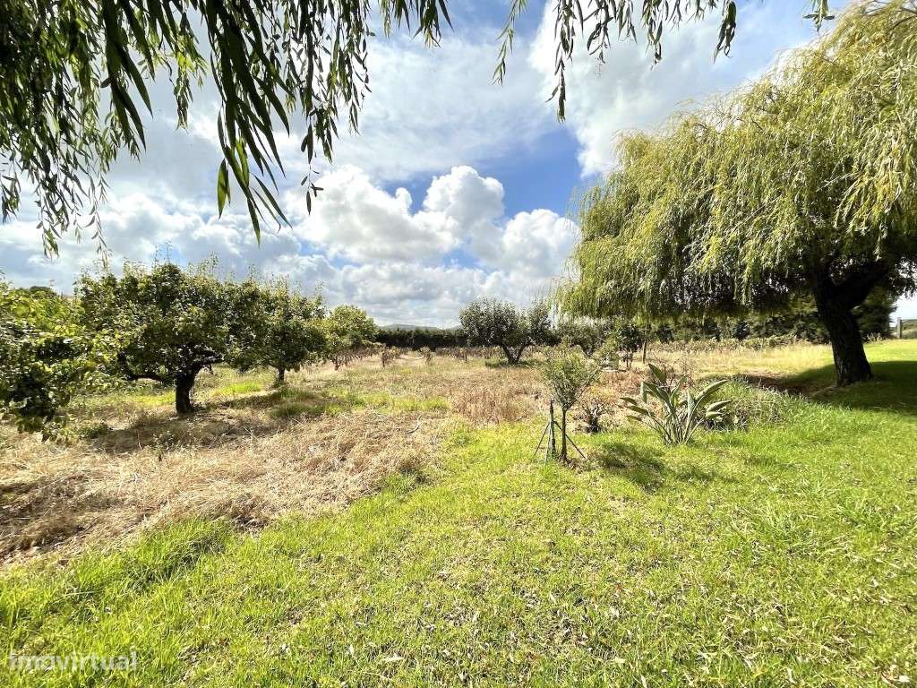 Terreno plano com 7913,70 m2 a 3 minutos do centro de Torres Vedras - Grande imagem: 1/7