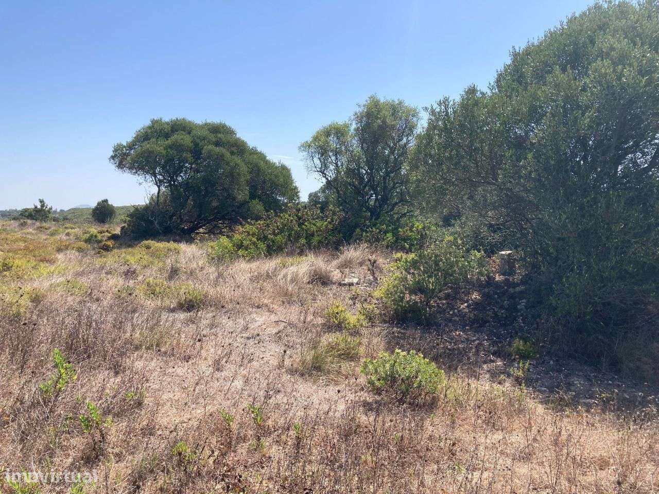 Terreno com 5551m2 vista mar Azoia Sesimbra - Grande imagem: 4/7