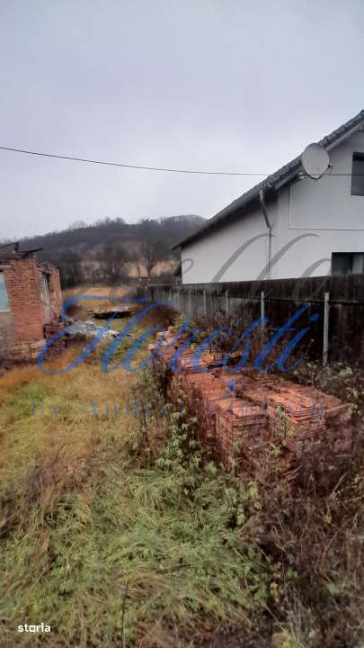 Casa individuala 4 camere 110 mp, garaj 12 mp,2100 mp teren zona Zimbo - Imagine principală: 3/3