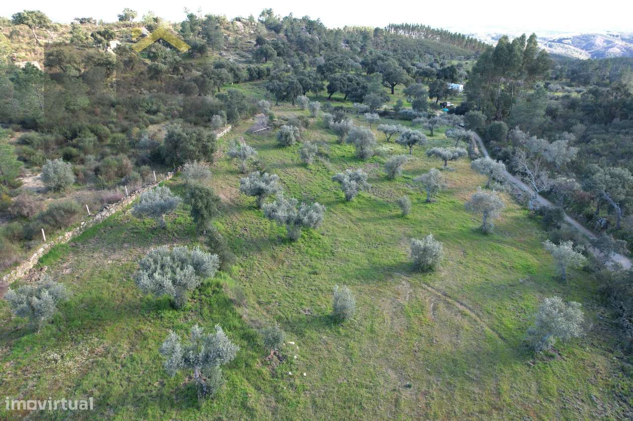 Quintinha  Venda em Salgueiro do Campo,Castelo Branco - Grande imagem: 3/7