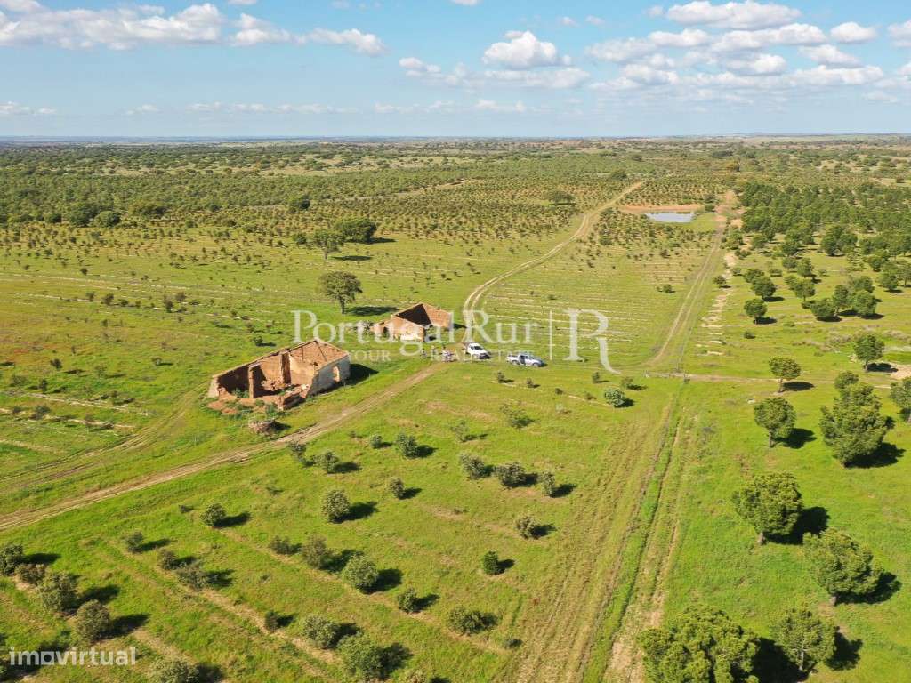 Herdades de Caça com 1300 Hectares, junto do rio Guadiana-21