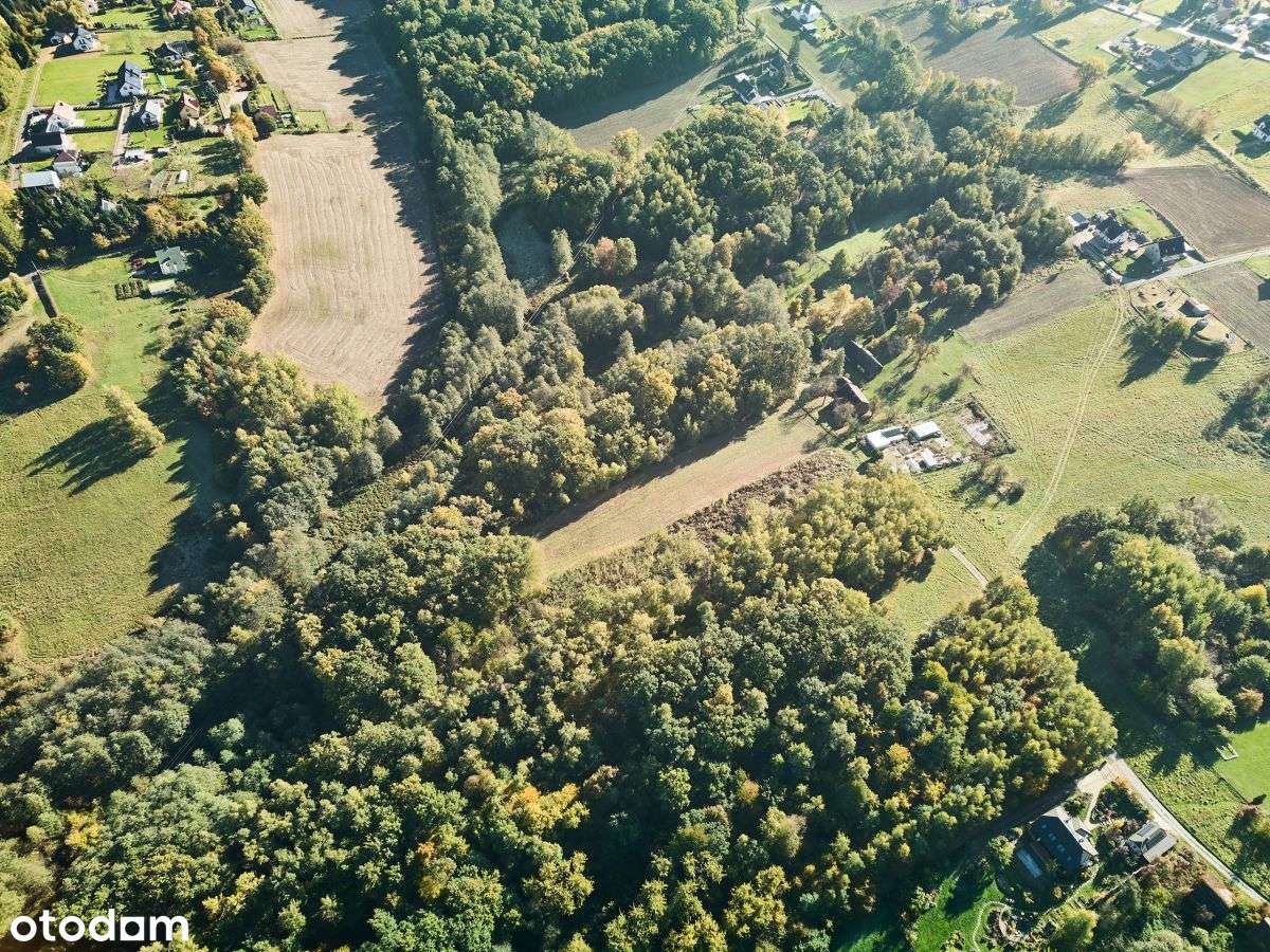 Działka rekreacyjna w cichej okolicy-3