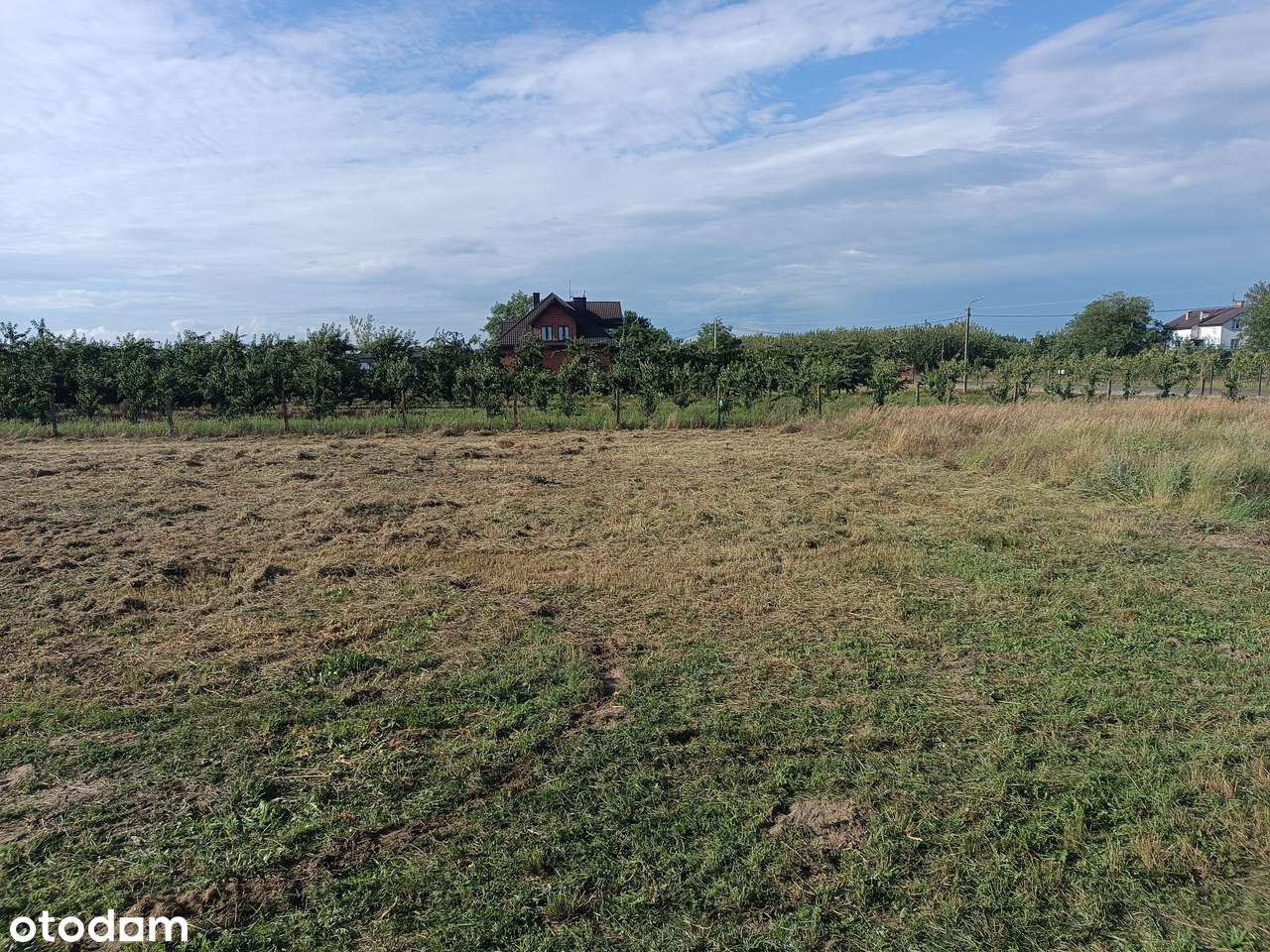 Działka budowlana w gminie Tarczyn - Pełny obrazek: 5/14