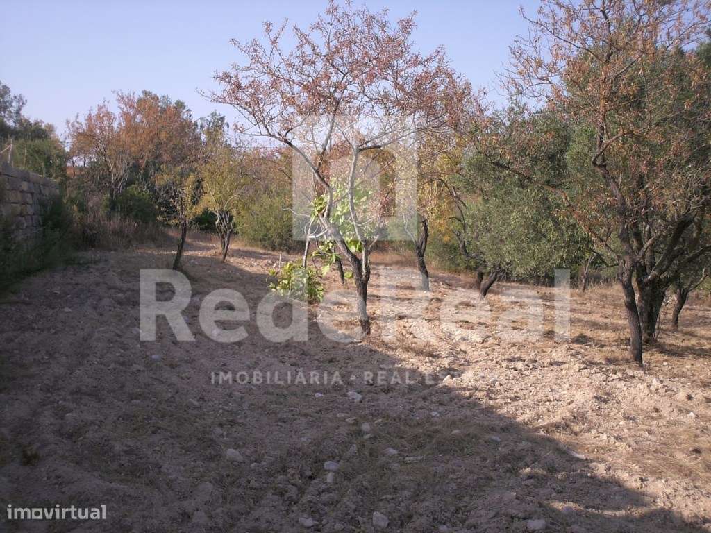 Terreno rústico, Loulé - Grande imagem: 4/11