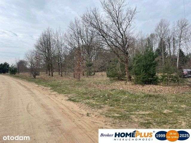 Działka blisko Bugu, 40 minut od Warszawy - Pełny obrazek: 5/9