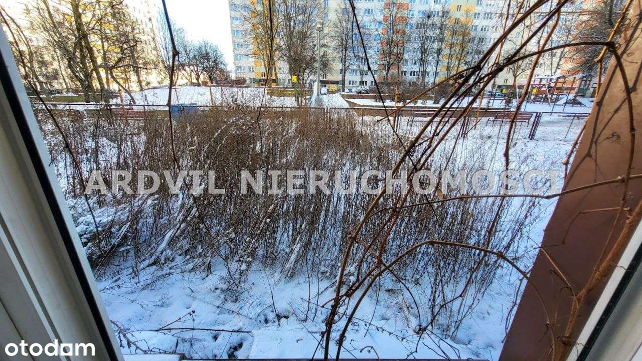 Waszyngtona 4 pok. z miejscem postojowym-16