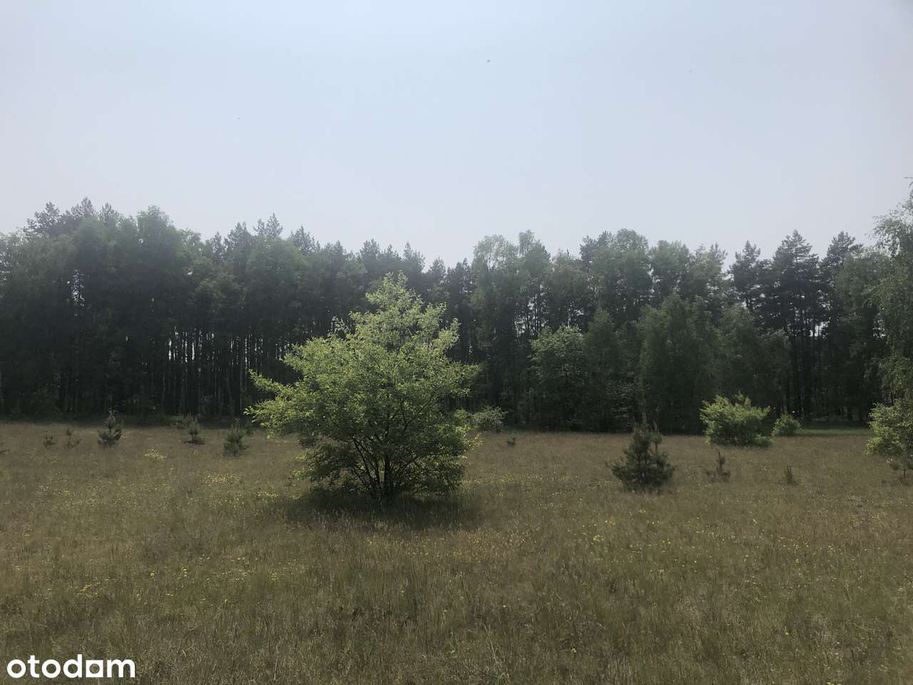 Inwestycyjna przy węźle w Stryszku-9