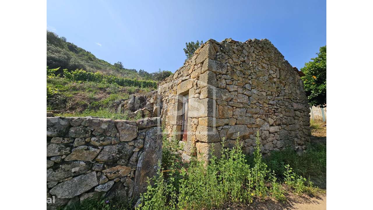 Quinta  Venda em Várzea de Abrunhais,Lamego-5