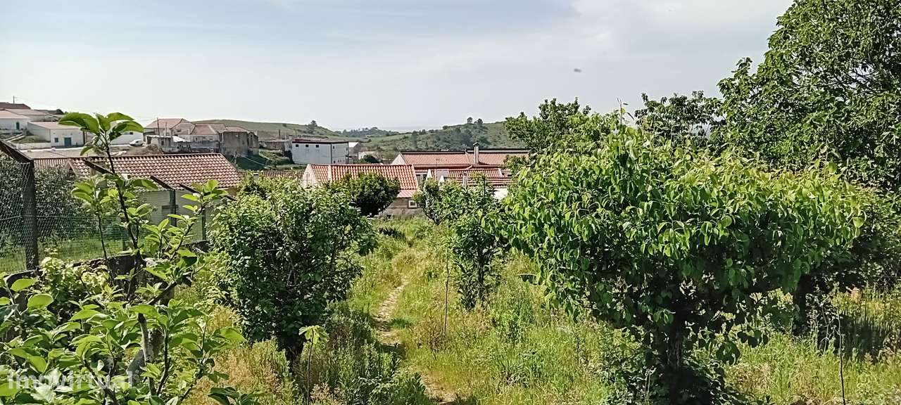 Moradia T4 em Lapaduços, Vila Verde dos Francos-33