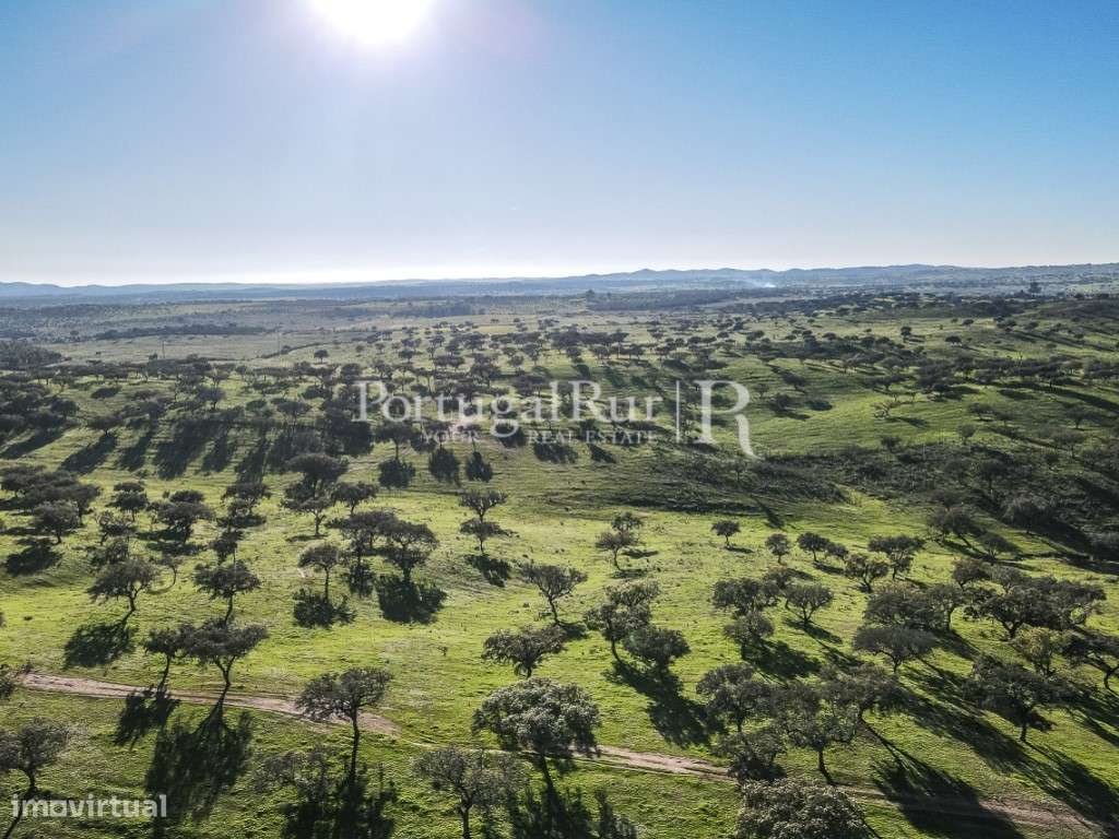 Herdade 390 hectares para Agropecuária e Painéis Fotovoltaicos - Grande imagem: 5/18