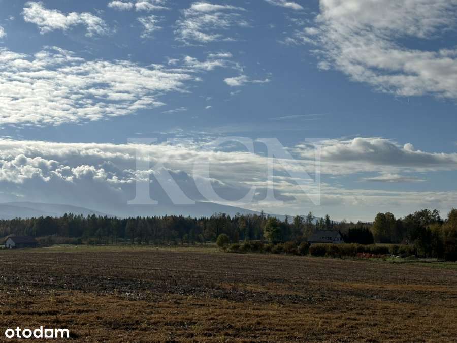 Działka w Młyńsku-3