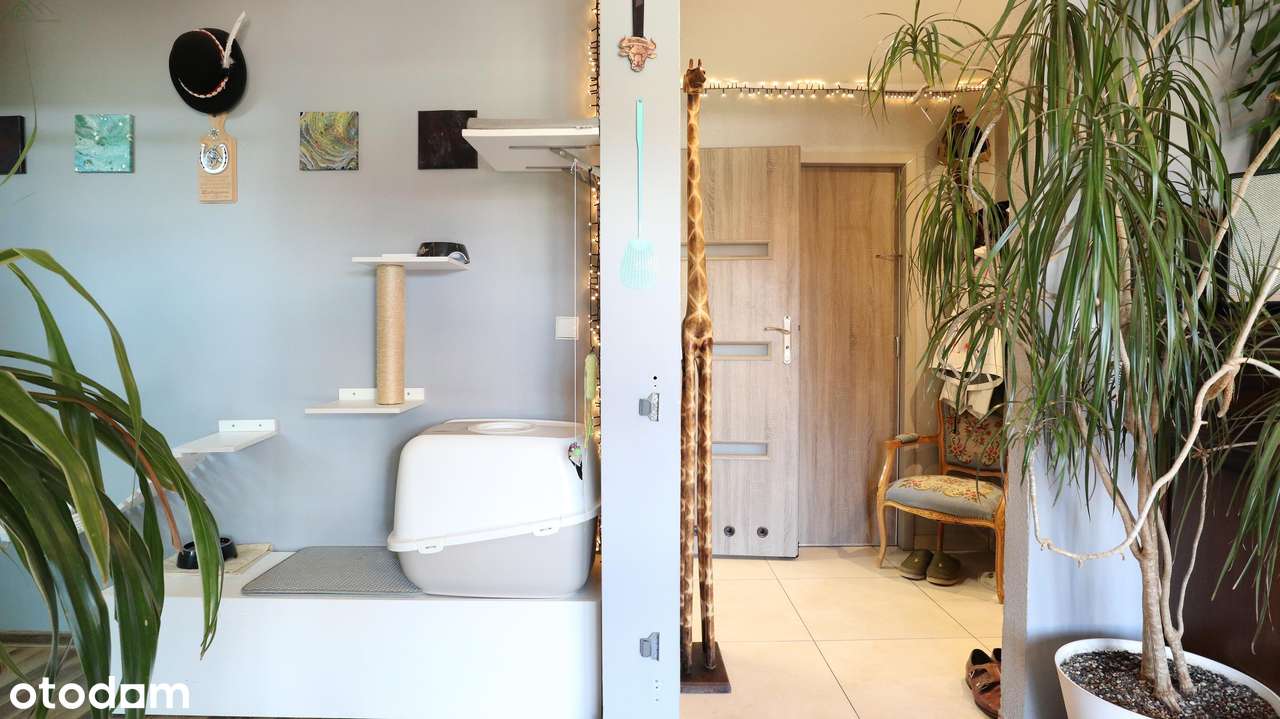 Klimatyczne mieszkanie w Śmiglu - Pełny obrazek: 5/14