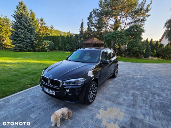 BMW X5 xDrive30d - 1