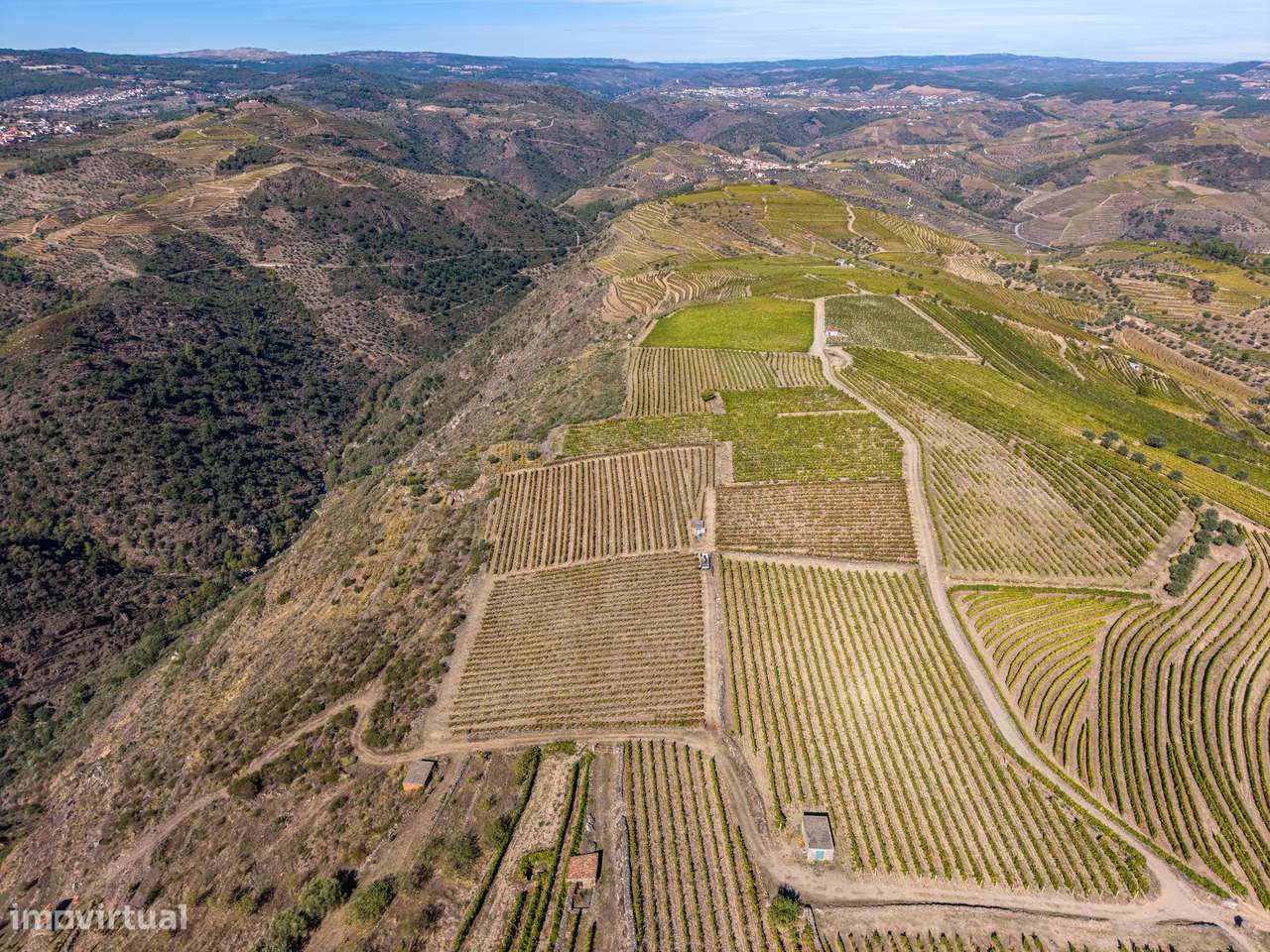 VINHA À VENDA EM MURÇA – REGIÃO DEMARCADA DO DOURO-11