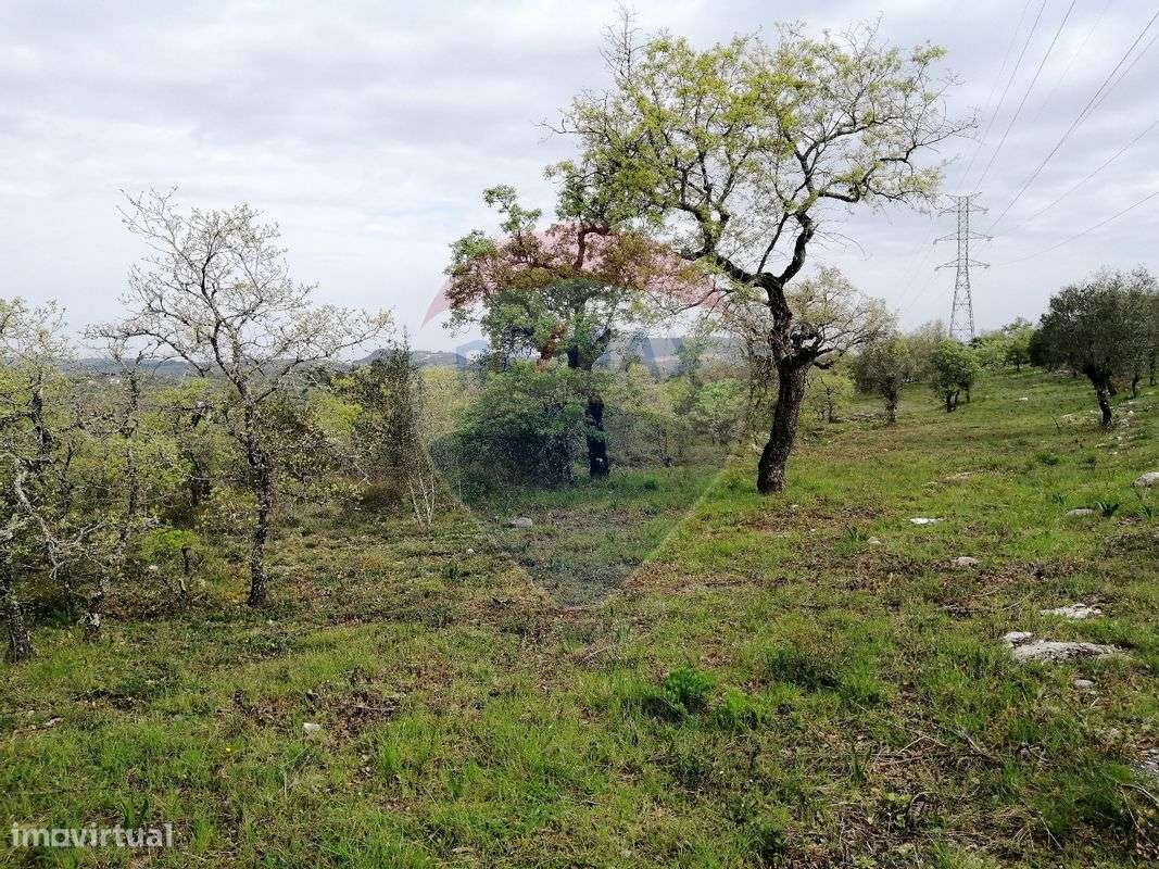 Terreno  para venda - Grande imagem: 3/8