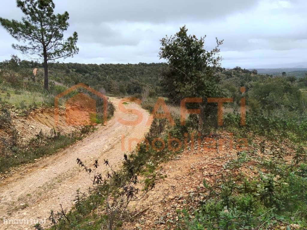 8,27 ha Terreno para Construção de Moradia - Grande imagem: 5/17