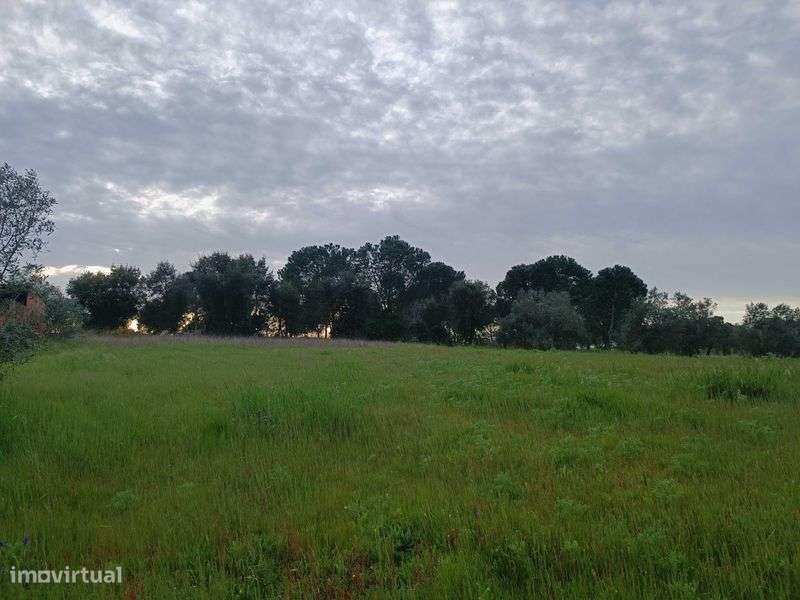 Terreno para Construção 842m2 - Grande imagem: 5/7