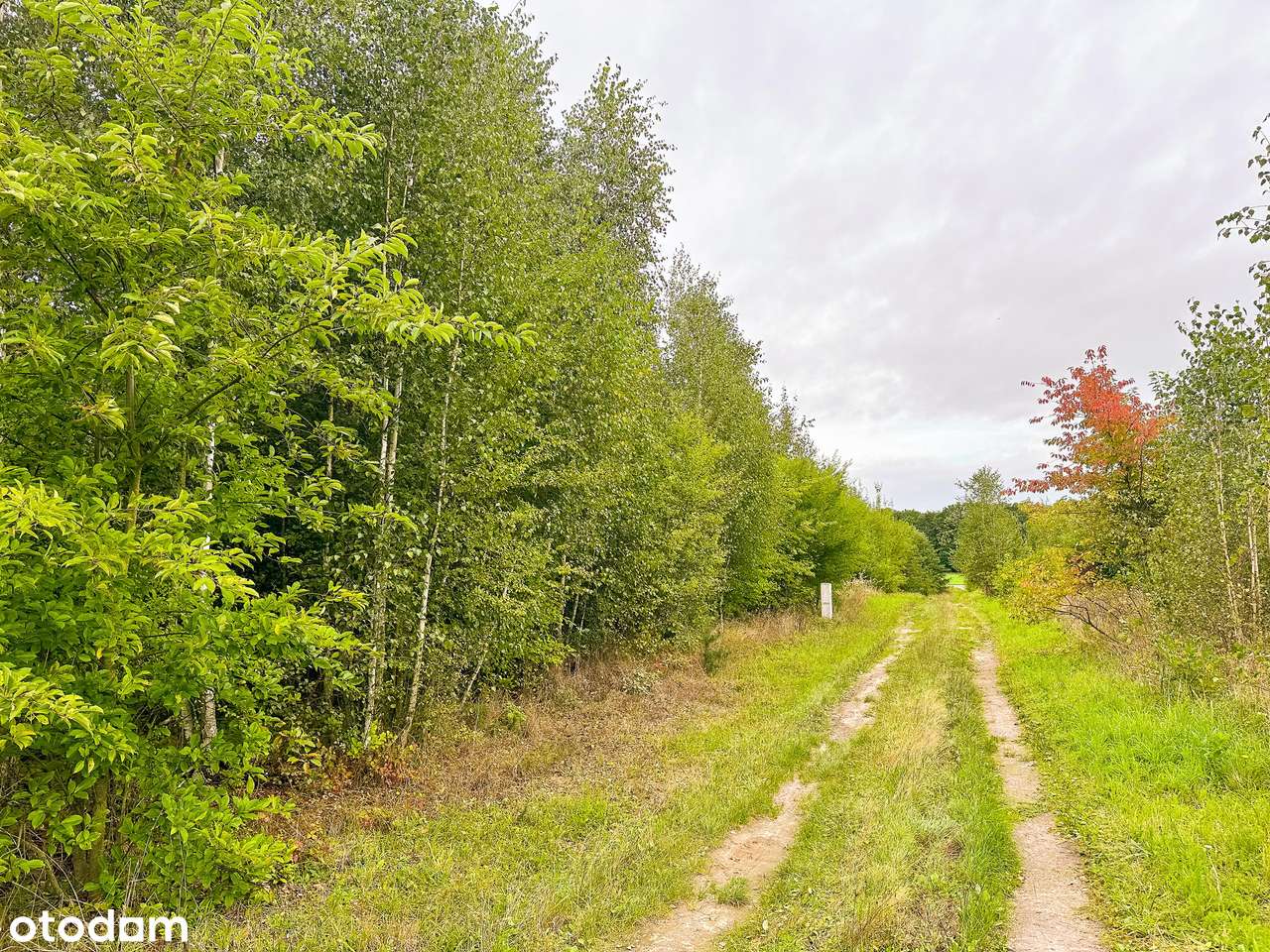 Ostatnie działki budowlane, między dwoma jeziorami!-6