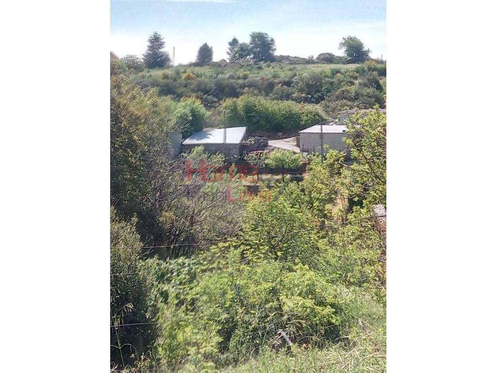 Terreno para venda em Lamego. - Grande imagem: 5/13