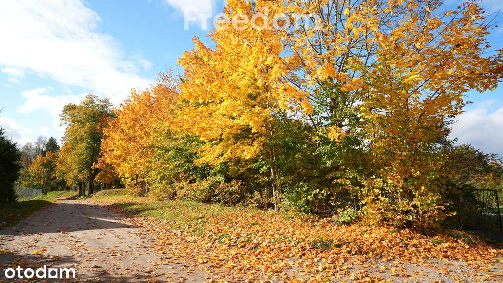 Działka budowlana nad jeziorem Ołów – Ryn - Pełny obrazek: 5/17