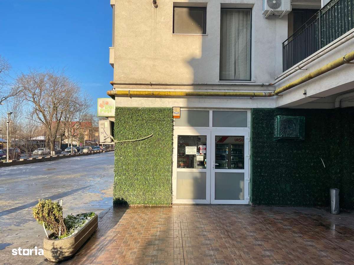 Spatiu comercial - Dudesti-Pantelimon 42, Basarabia, Titan - Imagine principală: 3/10