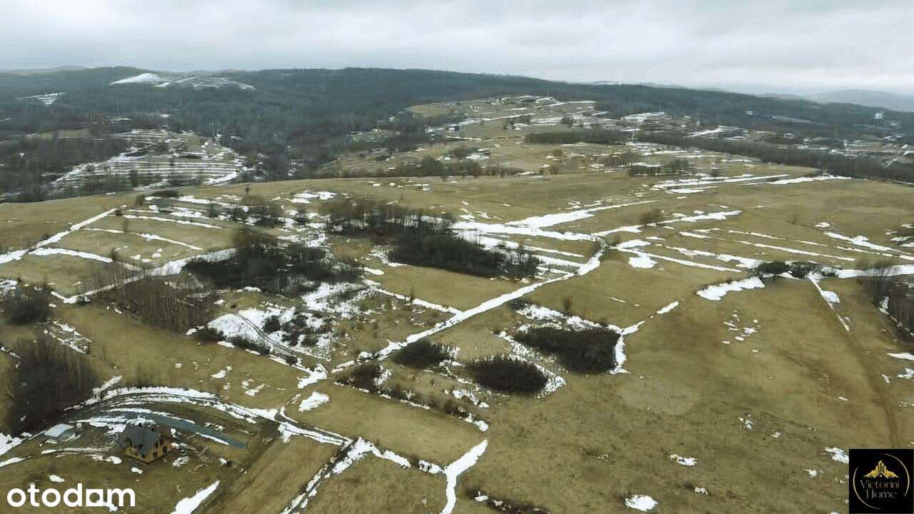 2,5ha w Draganowej z warunkami zabudowy. - Pełny obrazek: 4/8