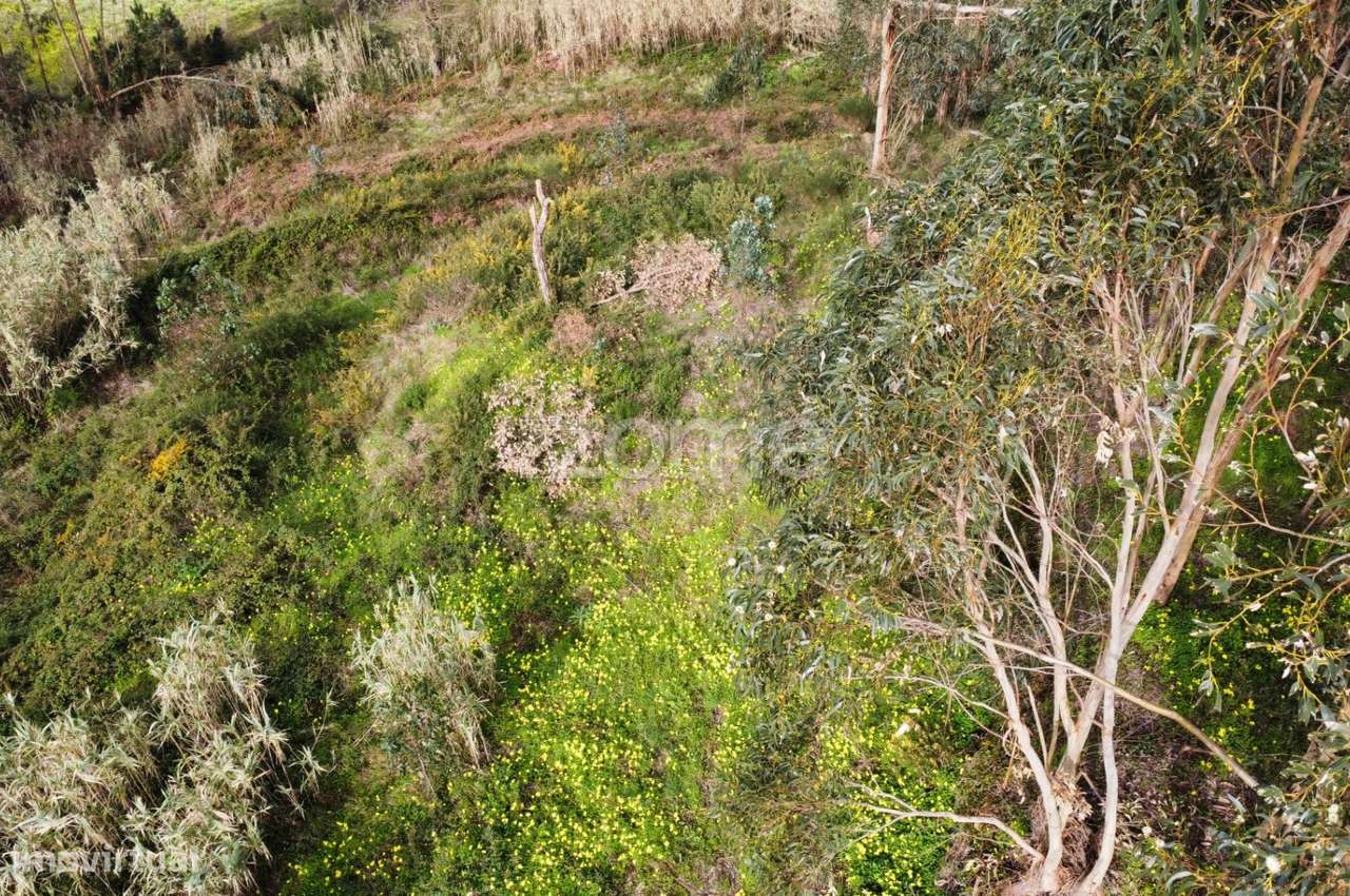 Investimento ou desenvolvimento de projeto rural, no Alqueidão - Grande imagem: 5/16