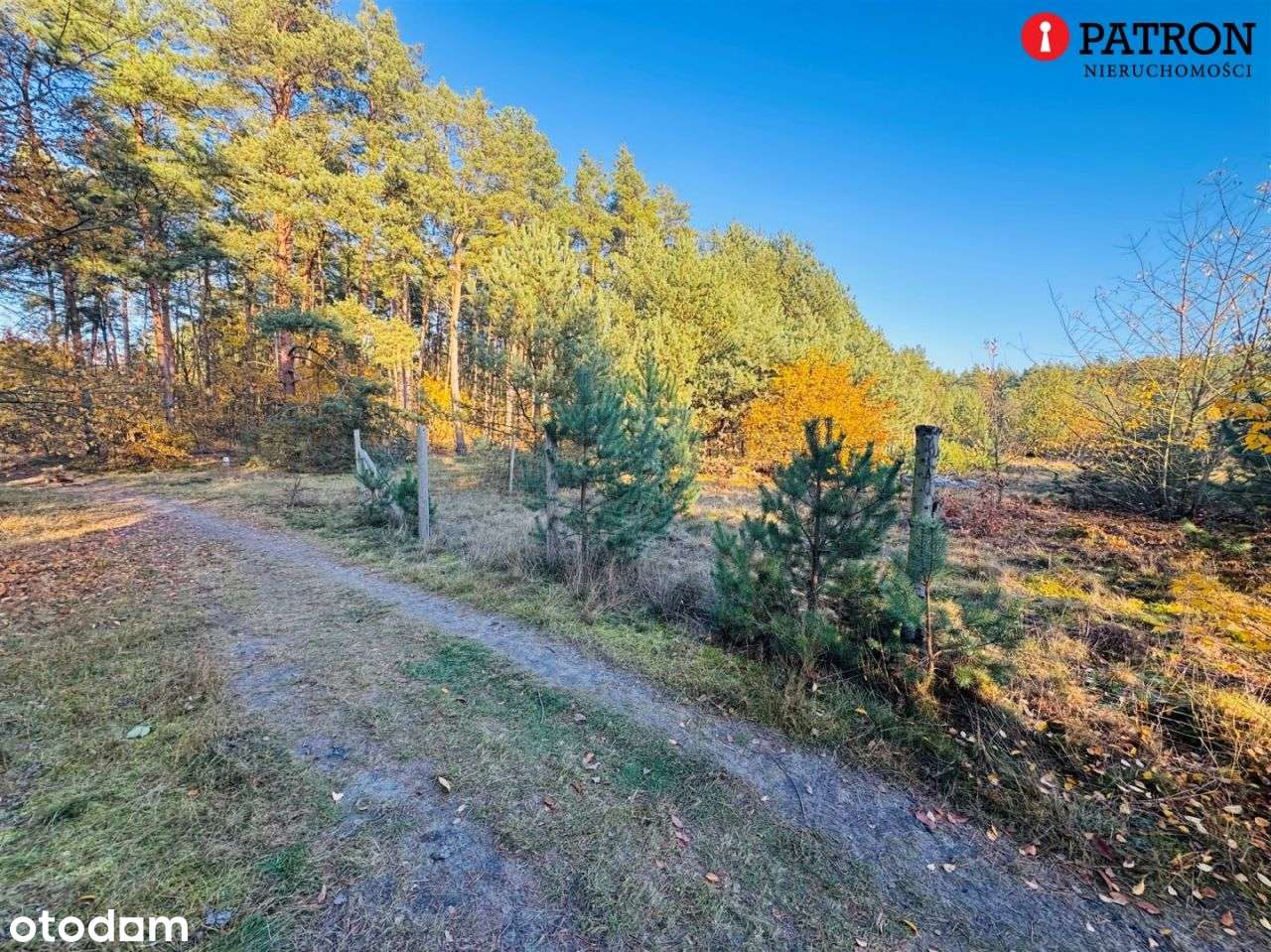 Sprzedam działkę o pow. 2 438 m² w Rurzycy-15