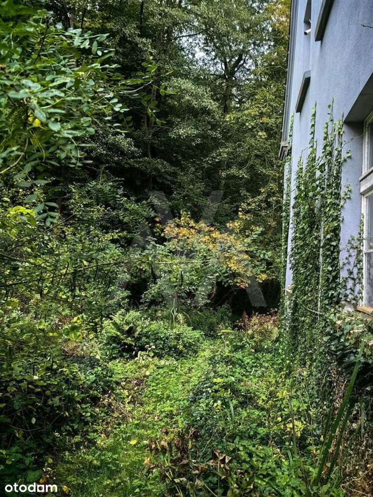 Ukryta Dolina, Elitarna Enklawa 12 Ha Blisko Morza-14