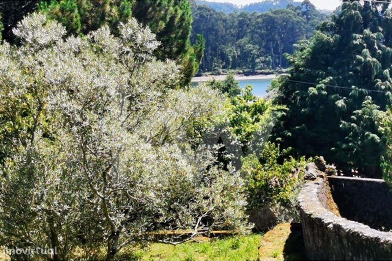 Fantástica Quinta em Serreleis Viana do Castelo, próxima ao Rio Lima