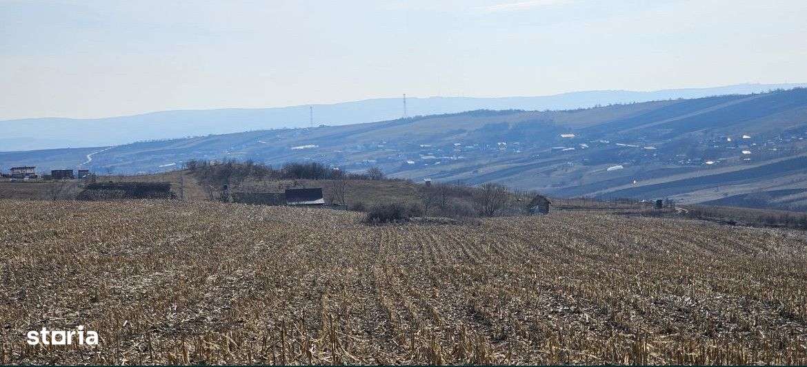 Teren 5800 mp, zona Valea Fanatelor - Imagine principală: 1/4