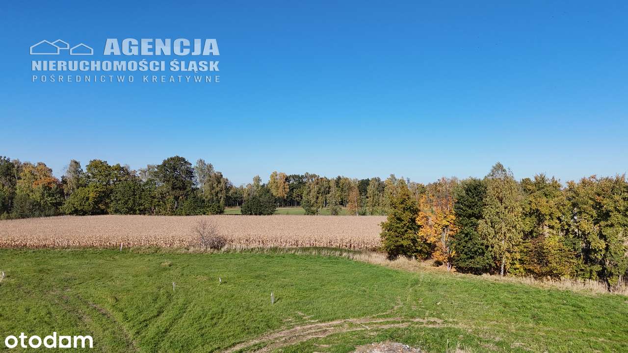 Działki budowlane w otoczeniu terenów zieleni-8