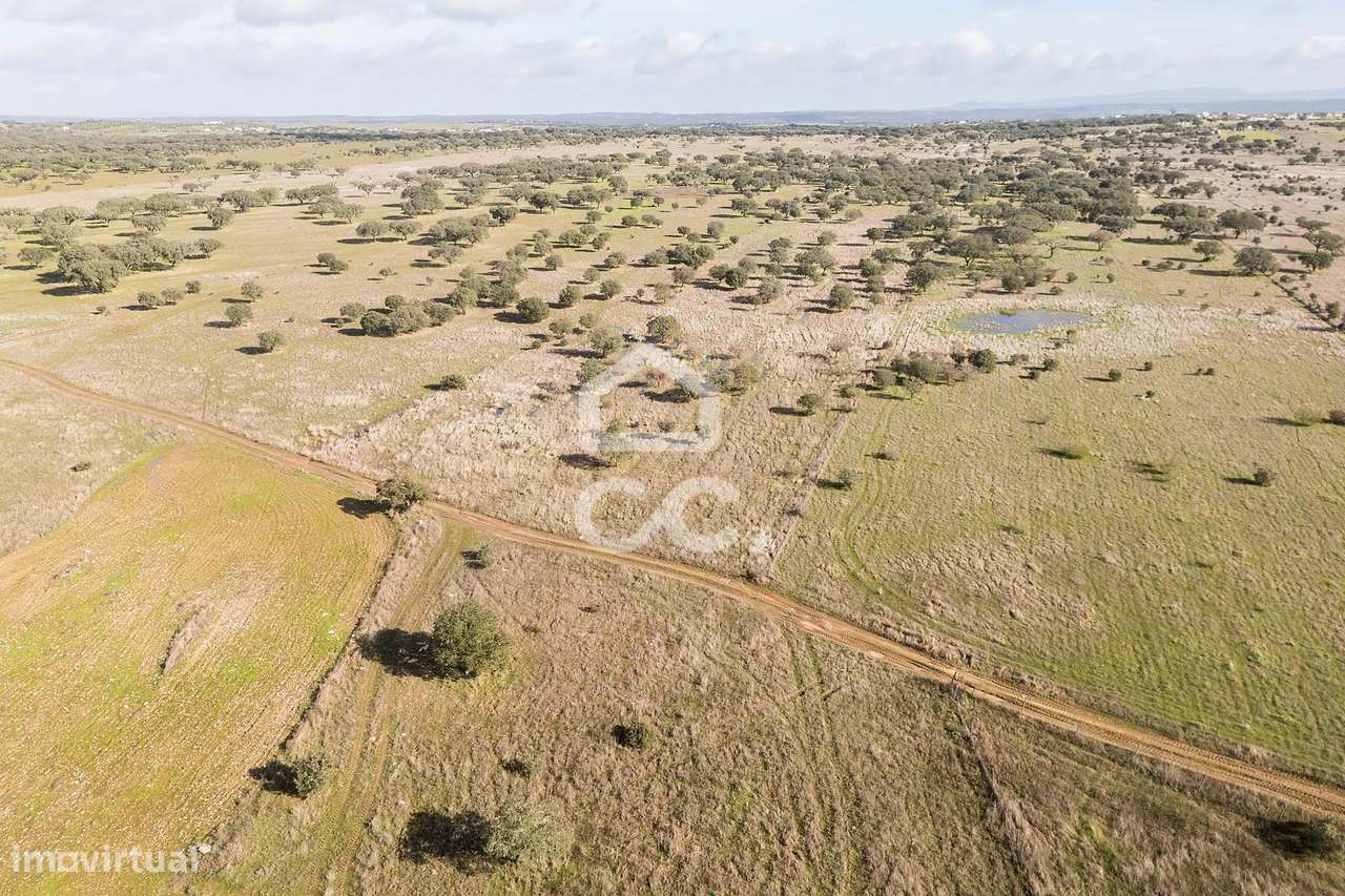 Terreno de 5,4 ha c/ Viabilidade de Construção | Capelins, Alandroal-21