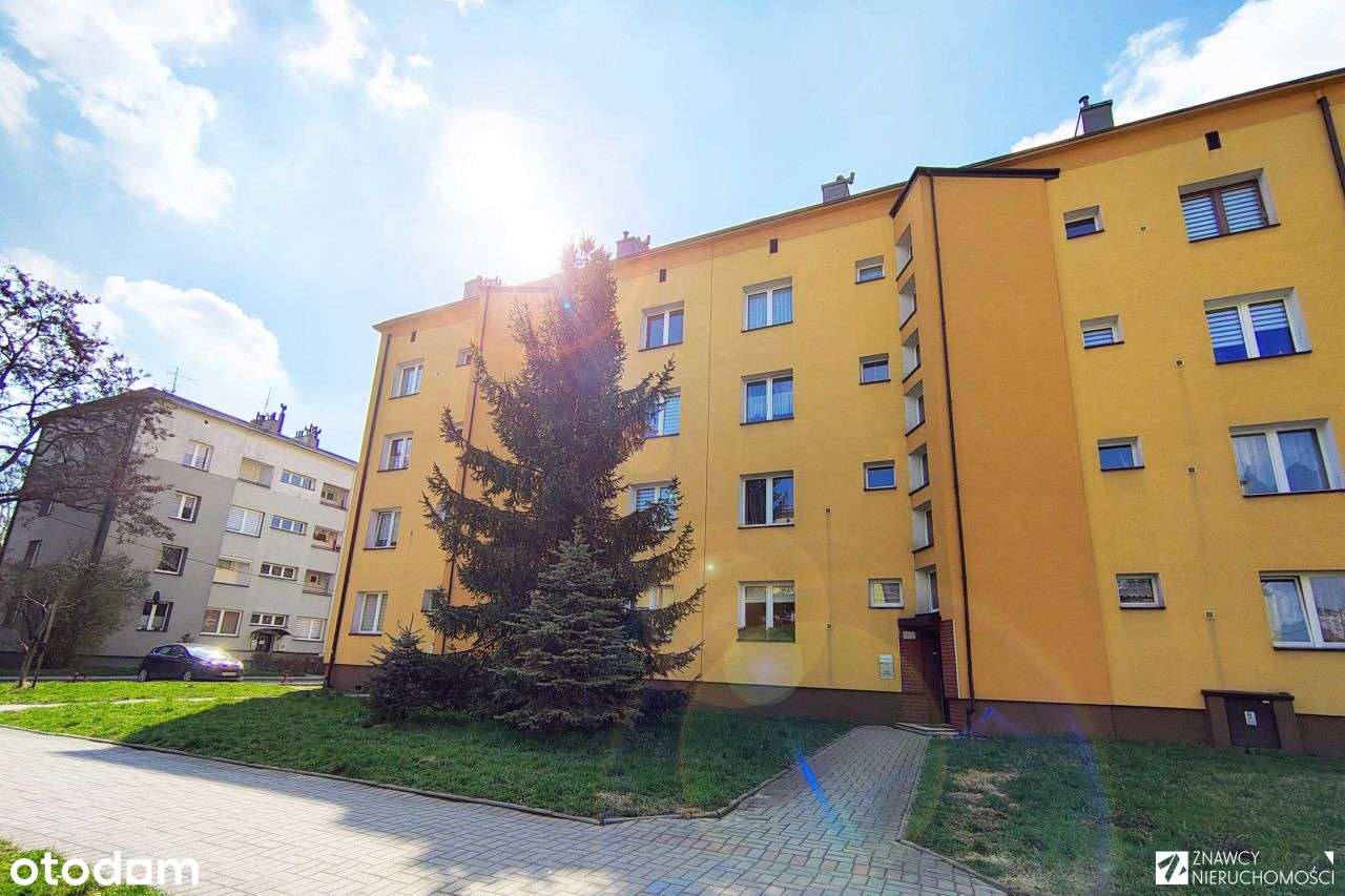 Parter duża kawalerka, możliwe 2 pok. okna dwustr. - Pełny obrazek: 2/17