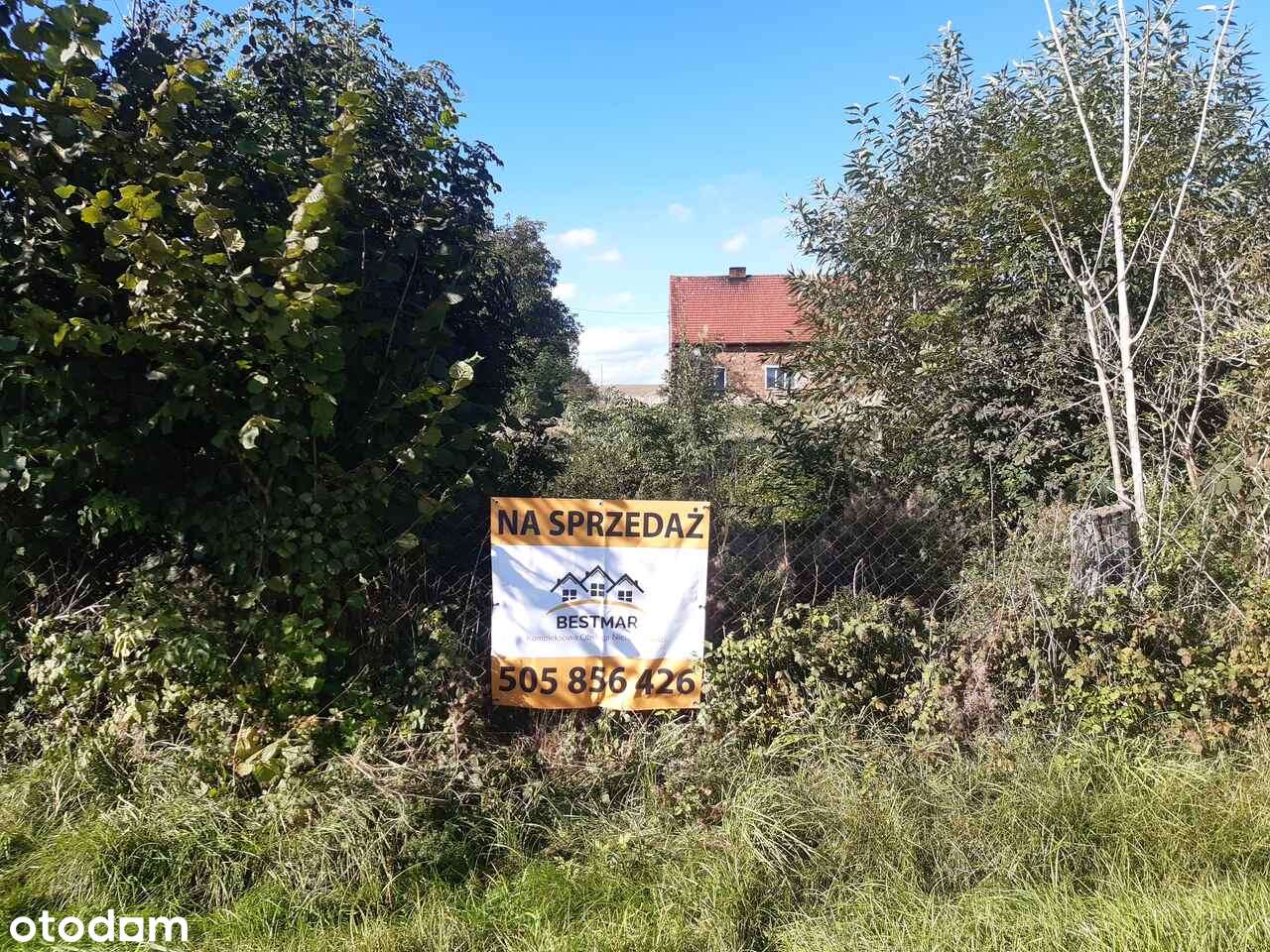 Dom do remontu z dużą działką (możliwość podziału)-11