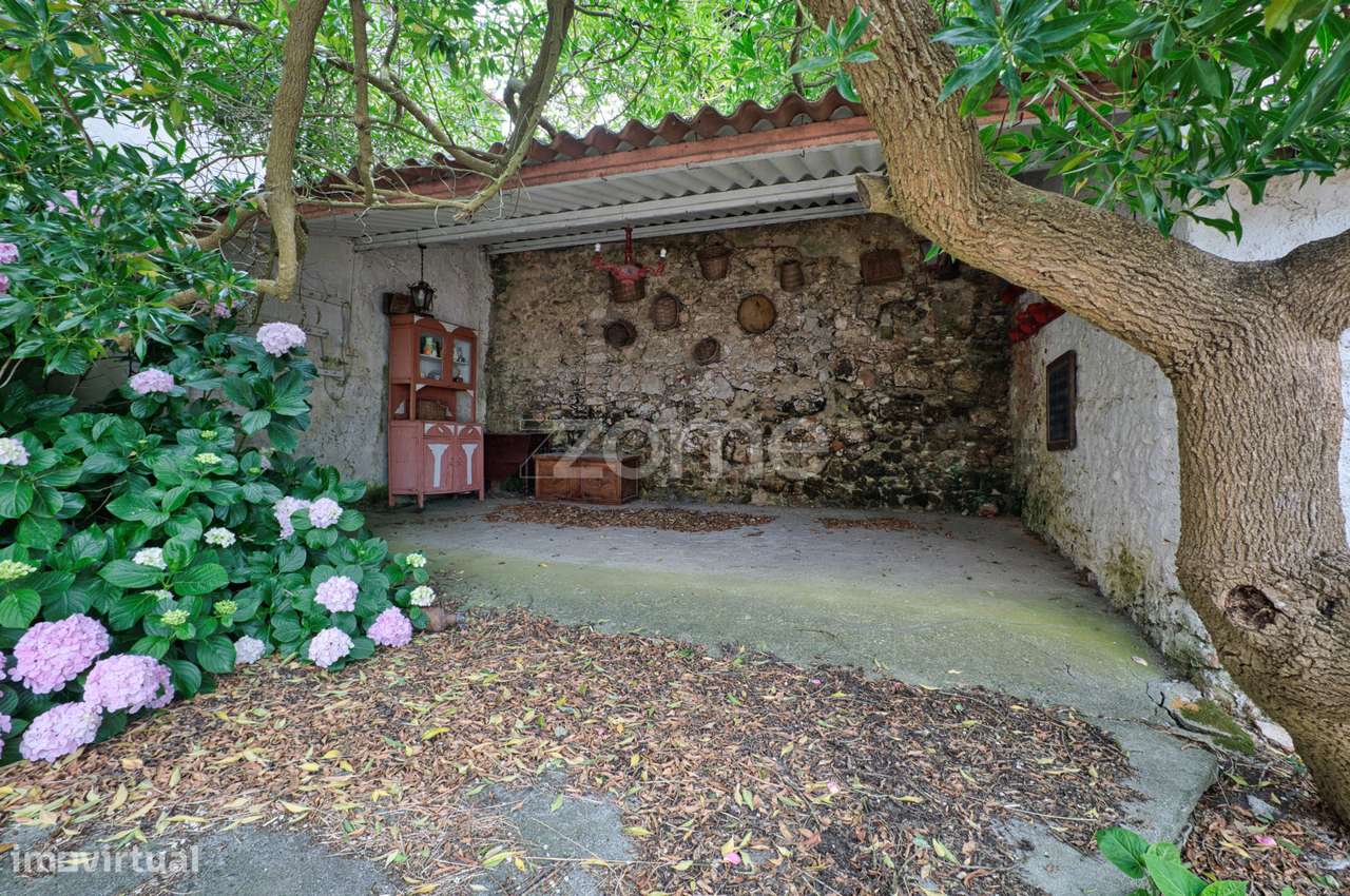 T10 no melhor Sitio da Nazaré-24