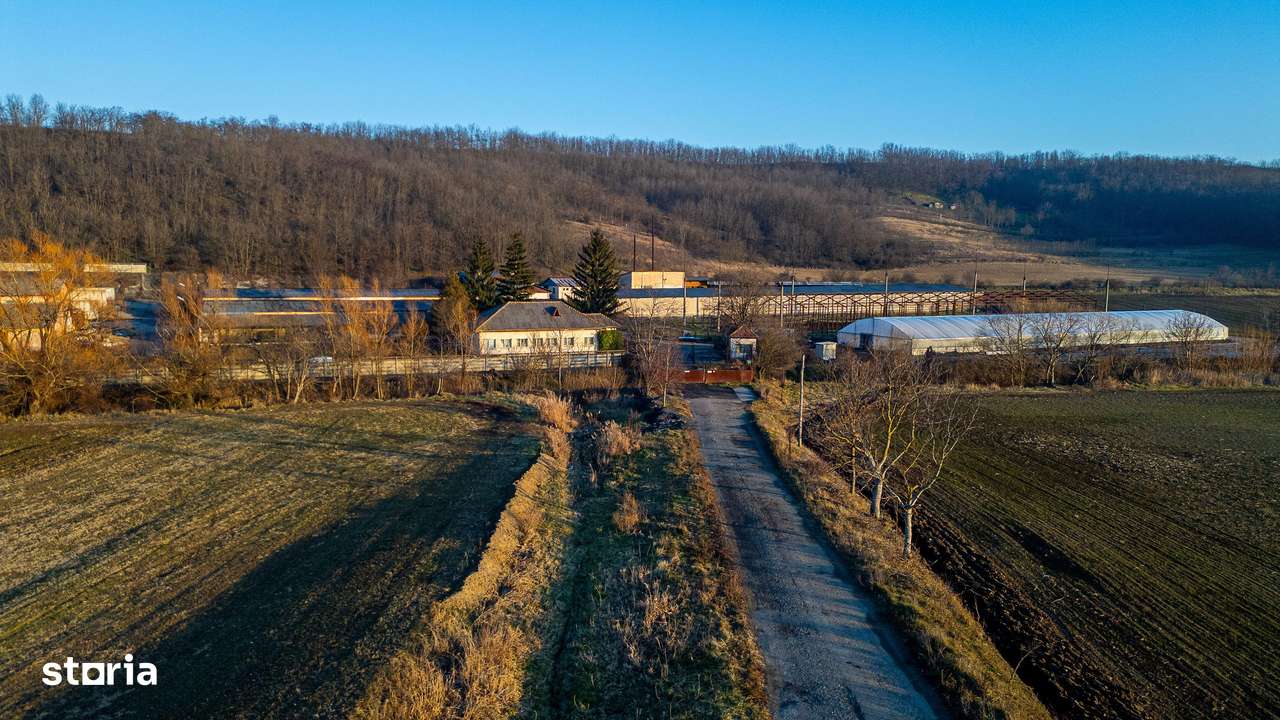 Fosta Ferma a Partidului de la Horgesti - de vanzare-12