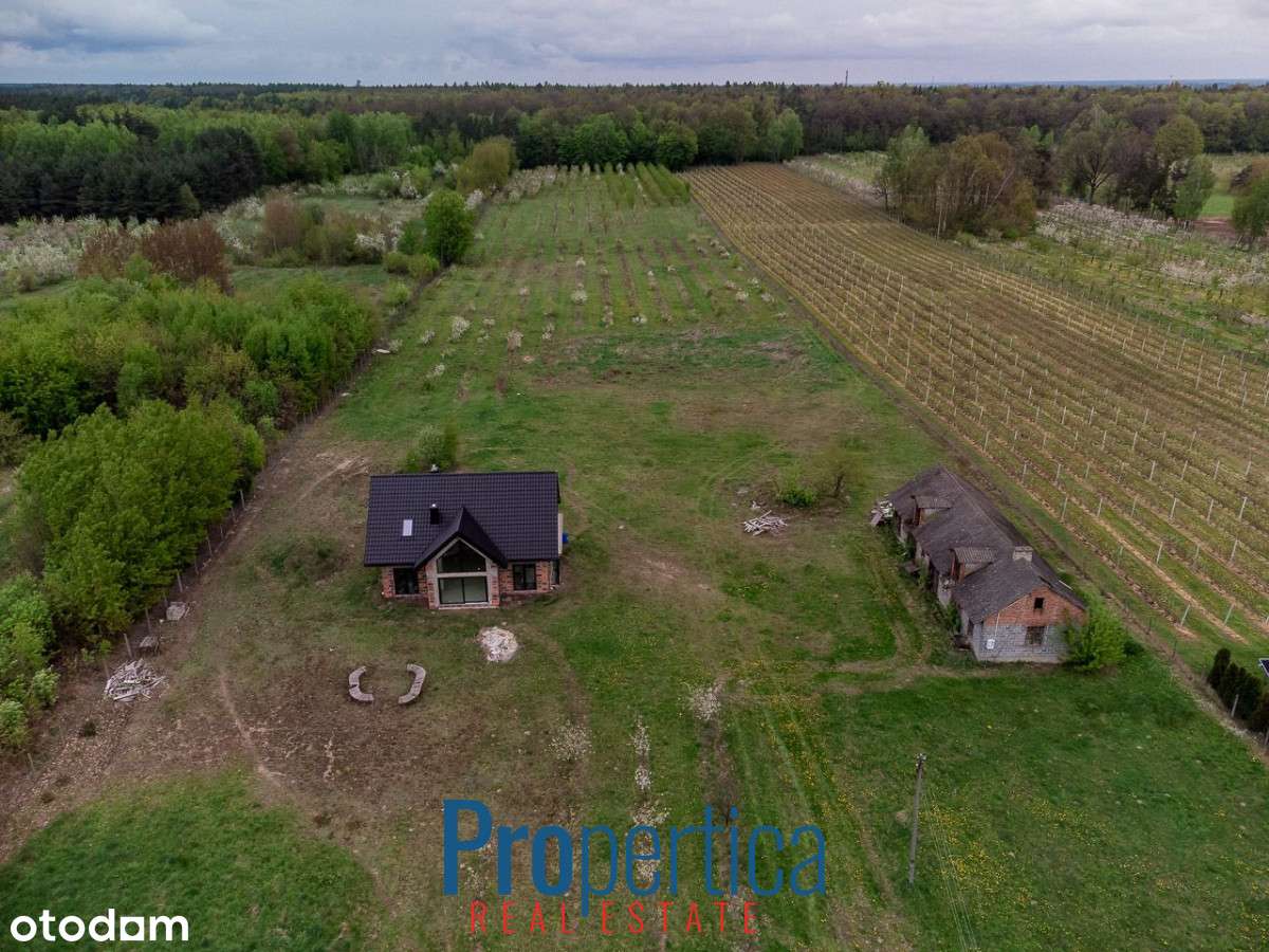 *Działka Kocerany - 4,72 ha - Blisko S7 **-1