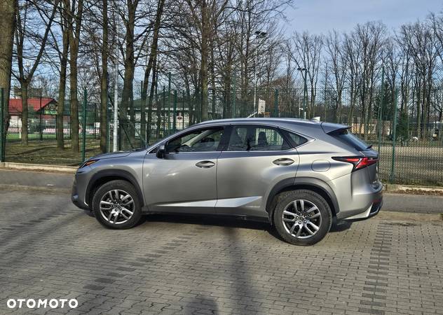 Lexus NX - 14