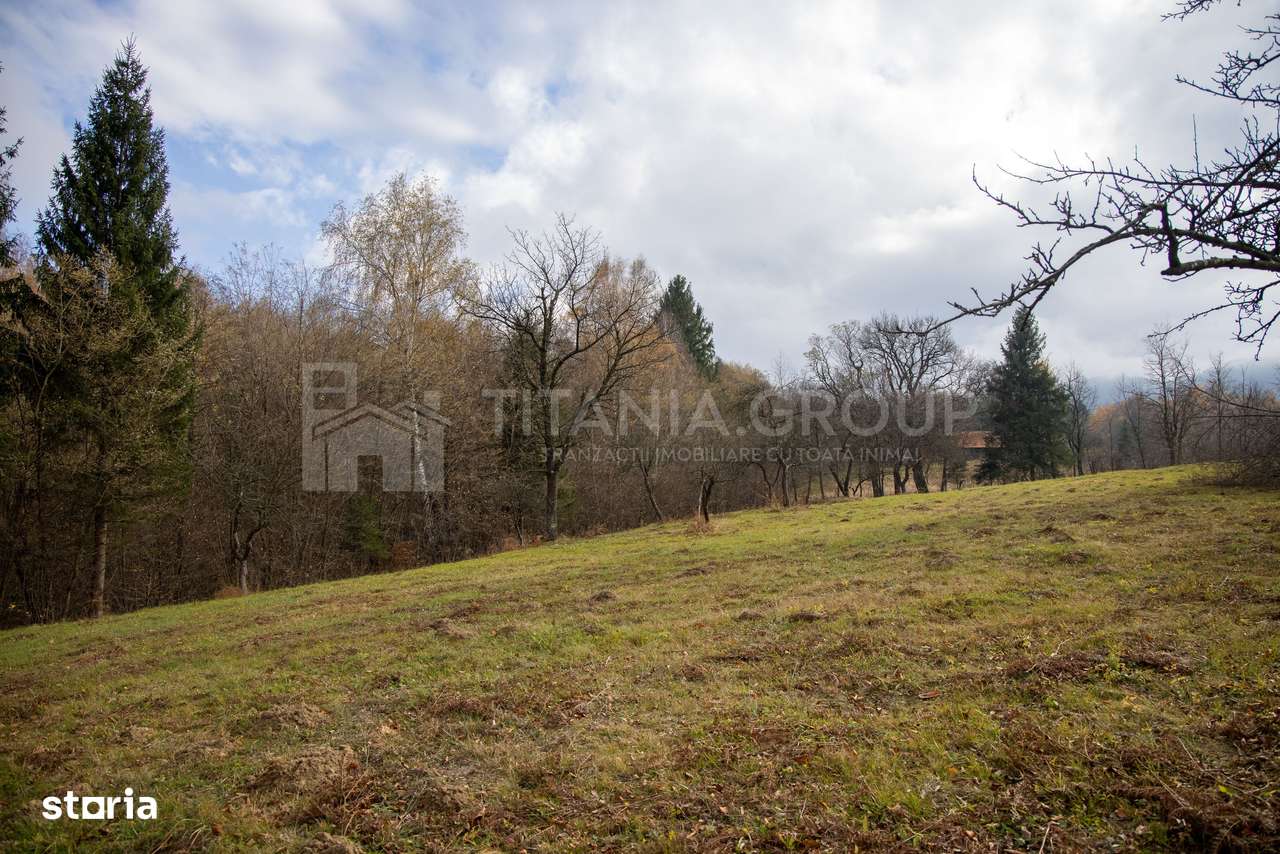 Teren intravilan, cu PUZ, Bran Tohanita,  SE ACCEPTĂ ȘI SCHIMB-17