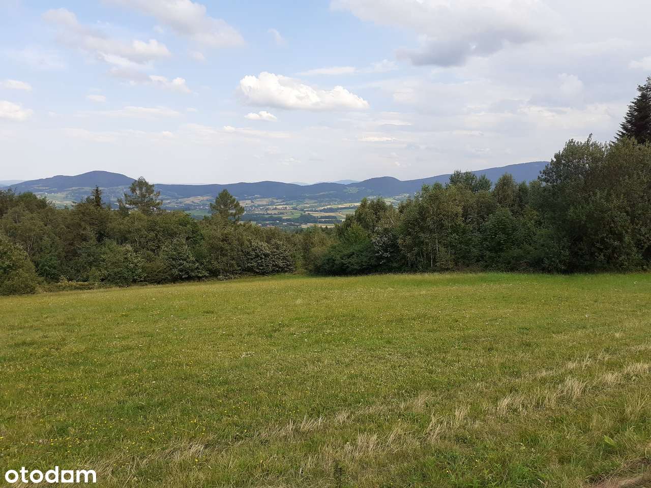 Grunt inwestycyjny/deweloperski -  1,78 ha  z MPZP - MN - Pełny obrazek: 5/11