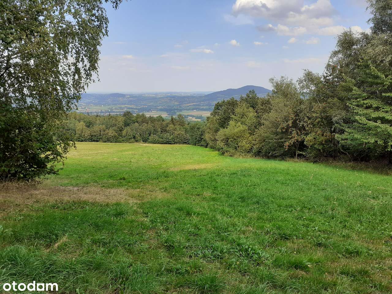 Grunt inwestycyjny/deweloperski -  1,78 ha  z MPZP - MN - Pełny obrazek: 4/11