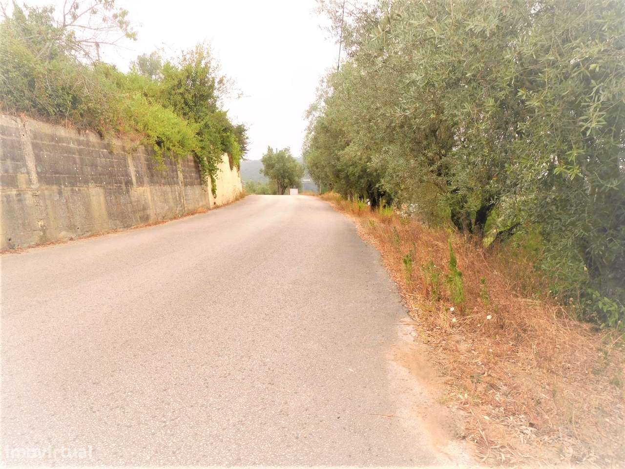 Lote de terreno - Grande imagem: 3/3