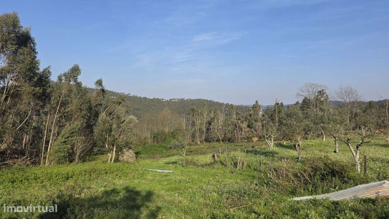 Moradia para restaurar, com terreno, perto de Ferreira do Zêzere-58