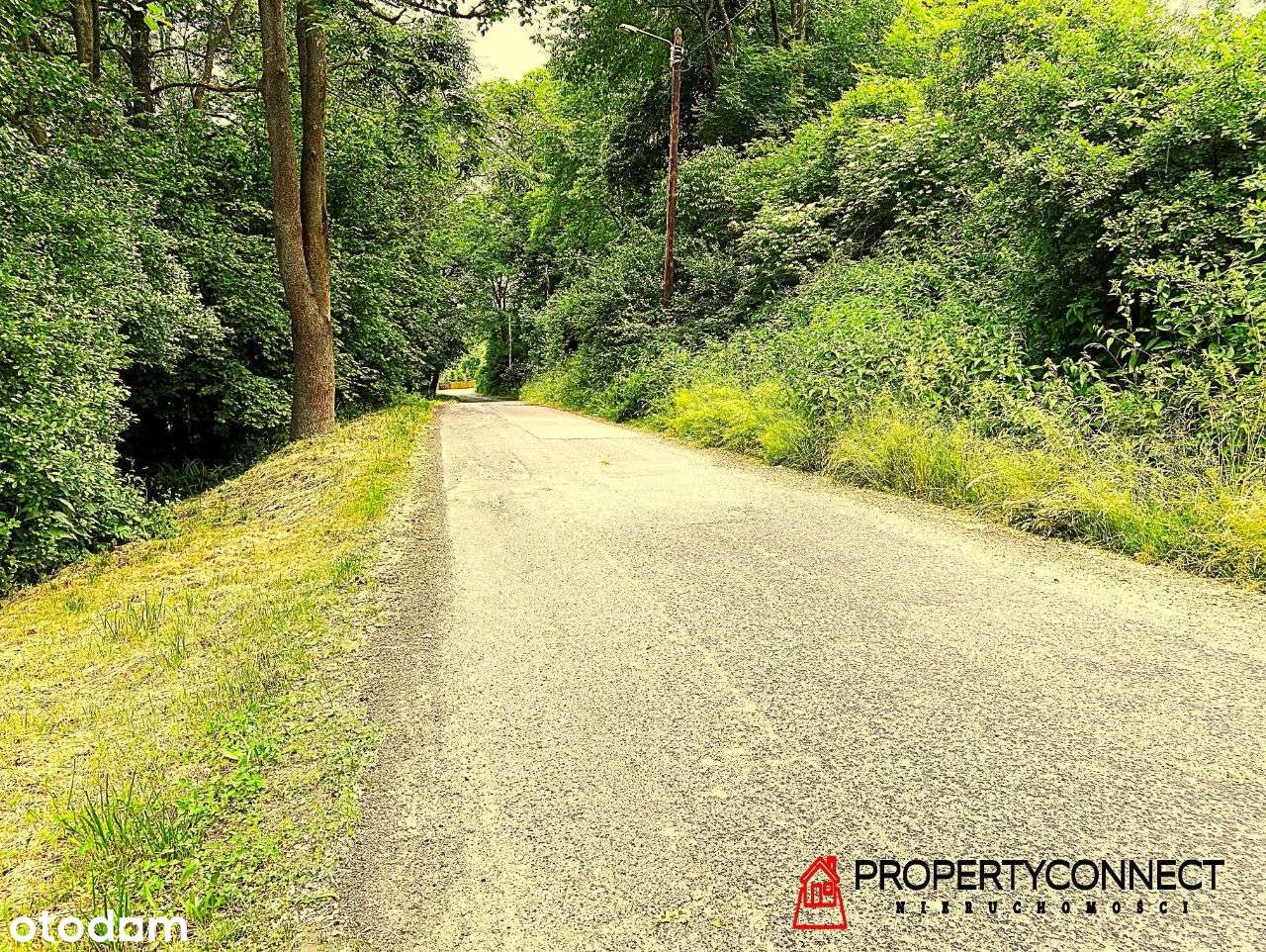 Działka rolna z WZ na skarpie 26900 m2-5