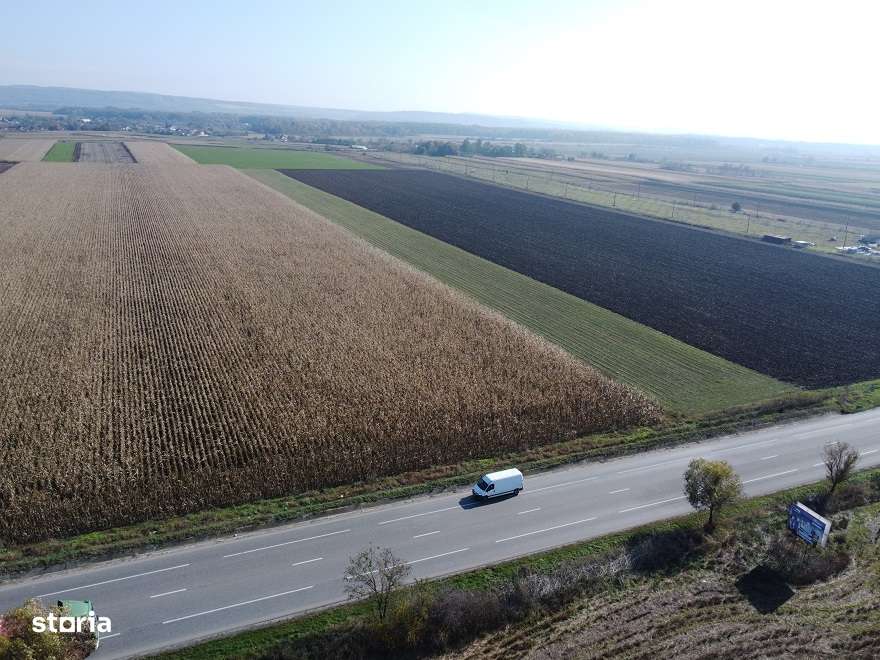 Teren Secuienii Noi /Basta 27900 mp Utilitati 92 ml Deschidere-6