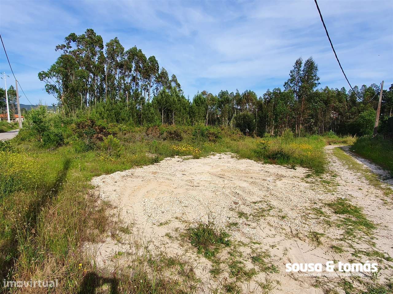 Terreno  Venda em Amor,Leiria-6